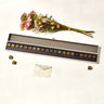 Dandelion Chocolate Valentine's Day Origin Bonbon Collection